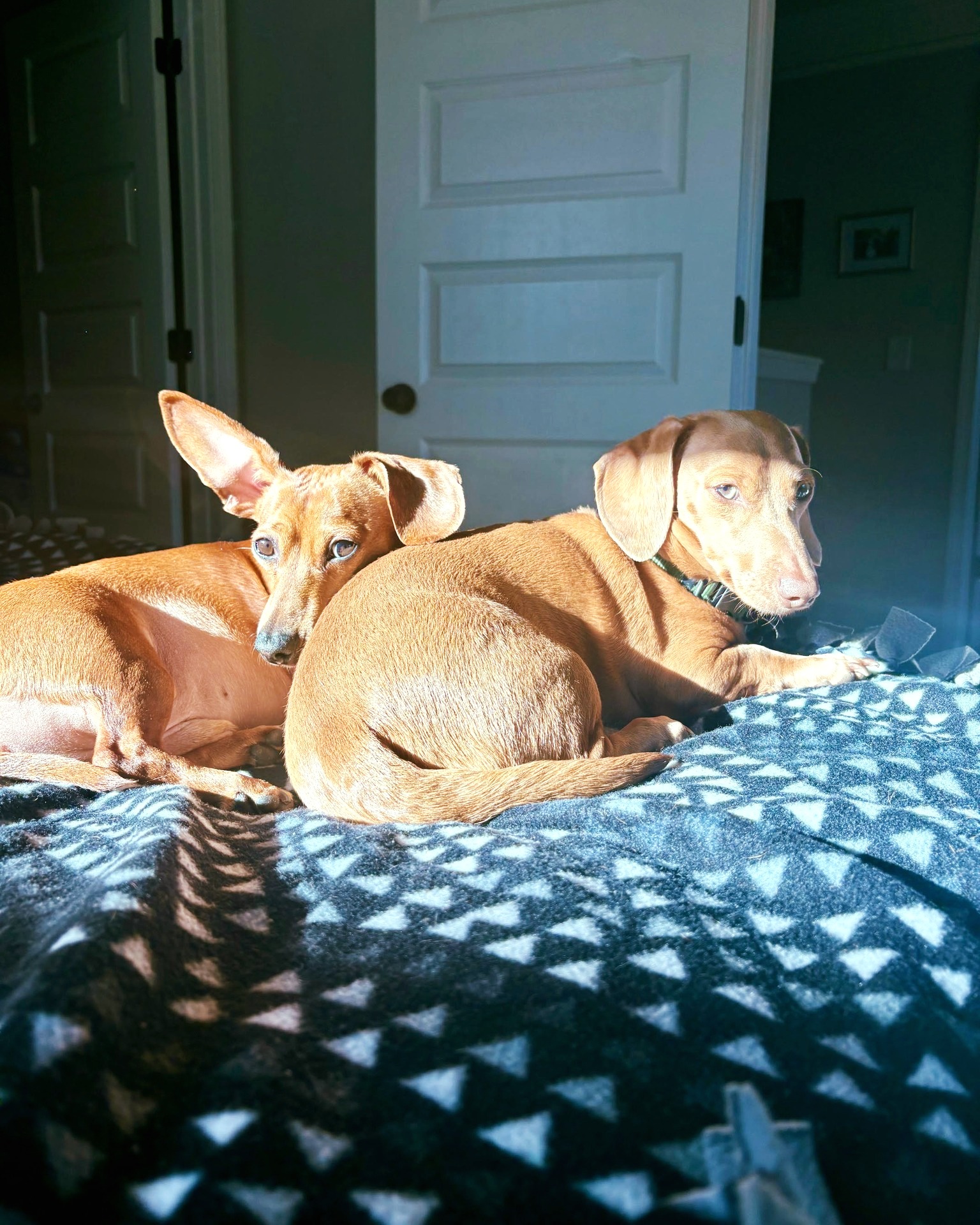Fred & Rudy
