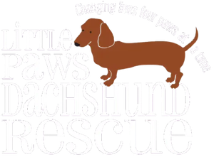 Little Paws Dachshund Rescue